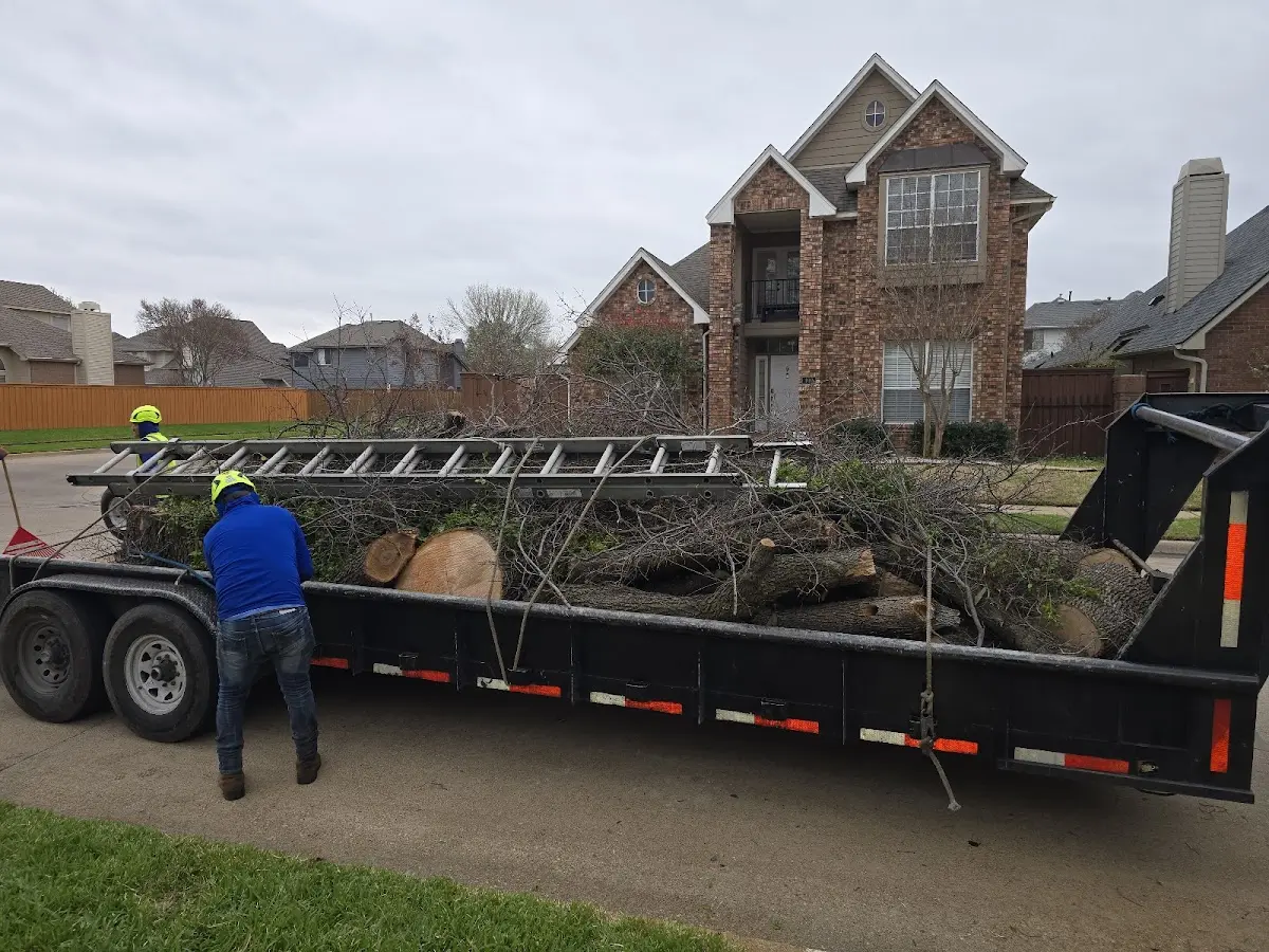 Expert Tree Pest Control with proper safety equipment in Cape Coral